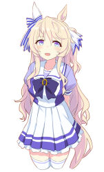 umamusume fan art