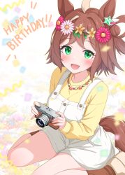 rhein kraft (umamusume) from umamusume