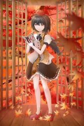 shameimaru aya from touhou