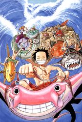 monkey d luffy from one piece by oda eiichirou