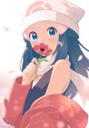 hikari (pokemon) from pokemon