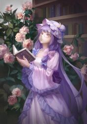 patchouli knowledge from touhou