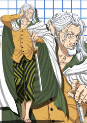 silvers rayleigh from one piece by musasabiop