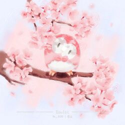 rowlet from pokemon