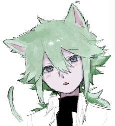 n (pokemon) from pokemon