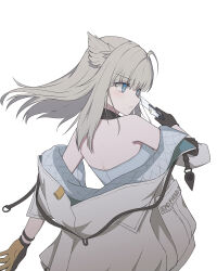 perlica (arknights) from arknights