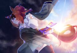 umamusume fan art