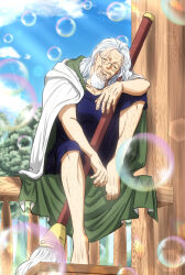 silvers rayleigh from one piece by musasabiop