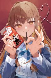 kishinami hakuno (female) from fate/extra