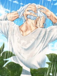 silvers rayleigh from one piece by musasabiop