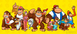 candy kong from donkey kong (series)