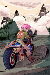 link from mario kart