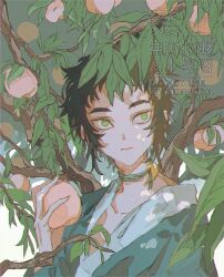 kaigaku from kimetsu no yaiba