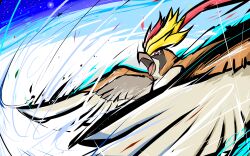 mega pidgeot from pokemon