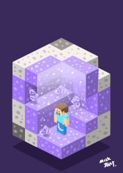 steve (minecraft) from minecraft