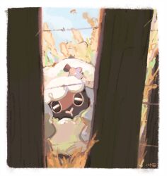 wooloo from pokemon