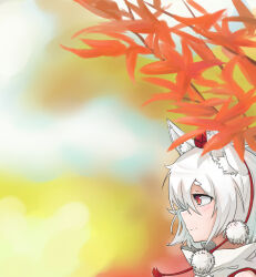 inubashiri momiji from touhou