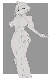 arcueid brunestud from fate/stay night