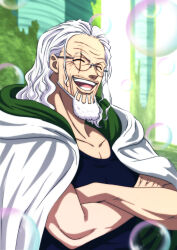 silvers rayleigh from one piece by musasabiop