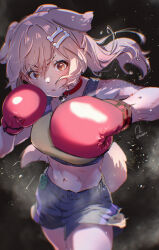 inugami korone from hololive