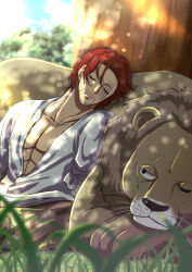 shanks (one piece) from one piece by musasabiop