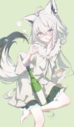 shirakami fubuki from hololive