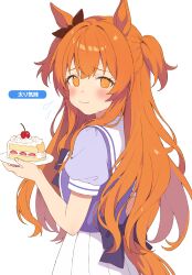 mayano top gun (umamusume) from umamusume by inuyama nanami