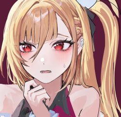 cissia (zenless zone zero) from zenless zone zero by nongxy nonshi