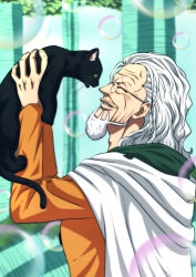 silvers rayleigh from one piece by musasabiop