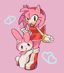 amy rose from sanrio