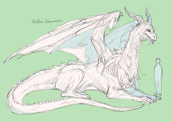 malleus draconia from twisted wonderland by penya