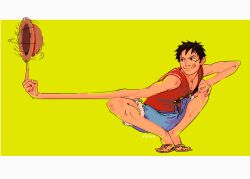 monkey d. luffy from one piece