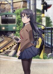sakurajima mai from seishun buta yarou