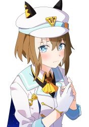 cheval grand (umamusume) from umamusume