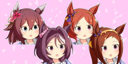 sakura bakushin o (umamusume) from umamusume by meso (zgmf-xv)
