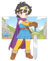 heroine (dq3) from dragon quest