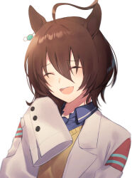 agnes tachyon (tach-nology) (umamusume) from umamusume