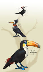 pikipek from pokemon