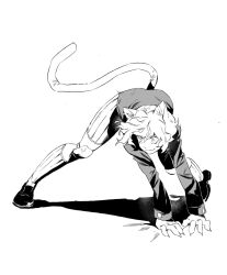 neferpitou from hunter x hunter