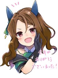king halo (umamusume) from umamusume by minatsuki yurara