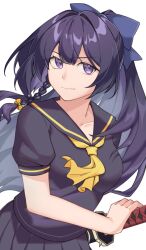 raiden mei from honkai (series)