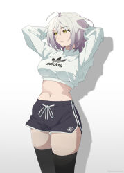 jeanne d'arc alter (fate) from adidas