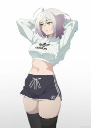 jeanne d'arc alter (fate) from adidas
