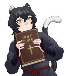 izutsumi from dungeon meshi by meowmei