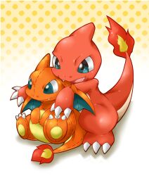 charizard from pokemon by tsukasa pika