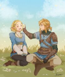 link from the legend of zelda