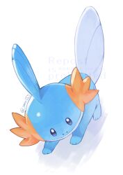 mudkip from pokemon