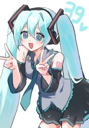 hatsune miku from vocaloid