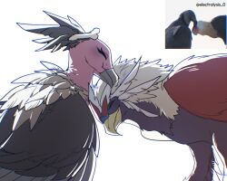 braviary from pokemon