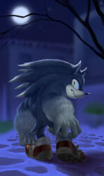 sonic the hedgehog from sonic (series)